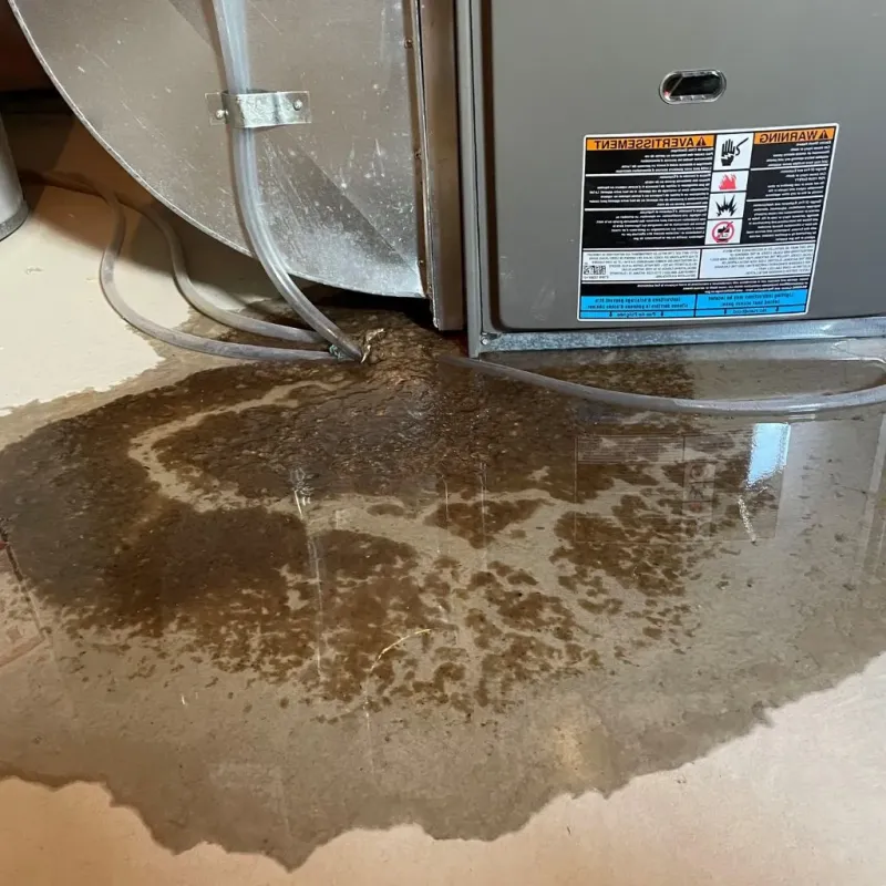 Pipe Burst and Leak Restoration in Mountain Lodge Park, NY